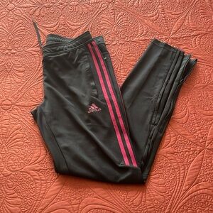 Adidas Track pants - NWOT!